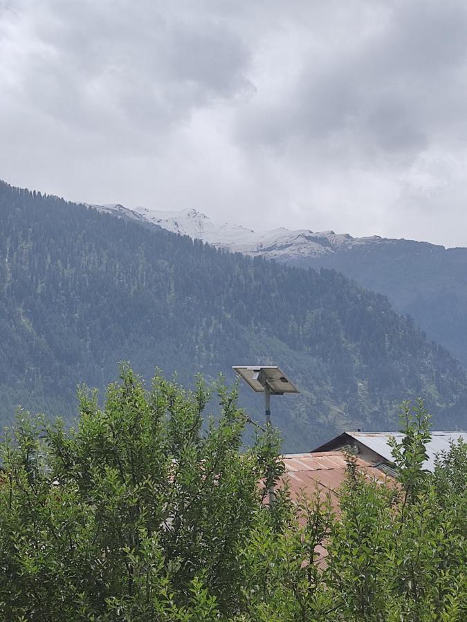 Woods Inn Mountain View Manali 外观 照片