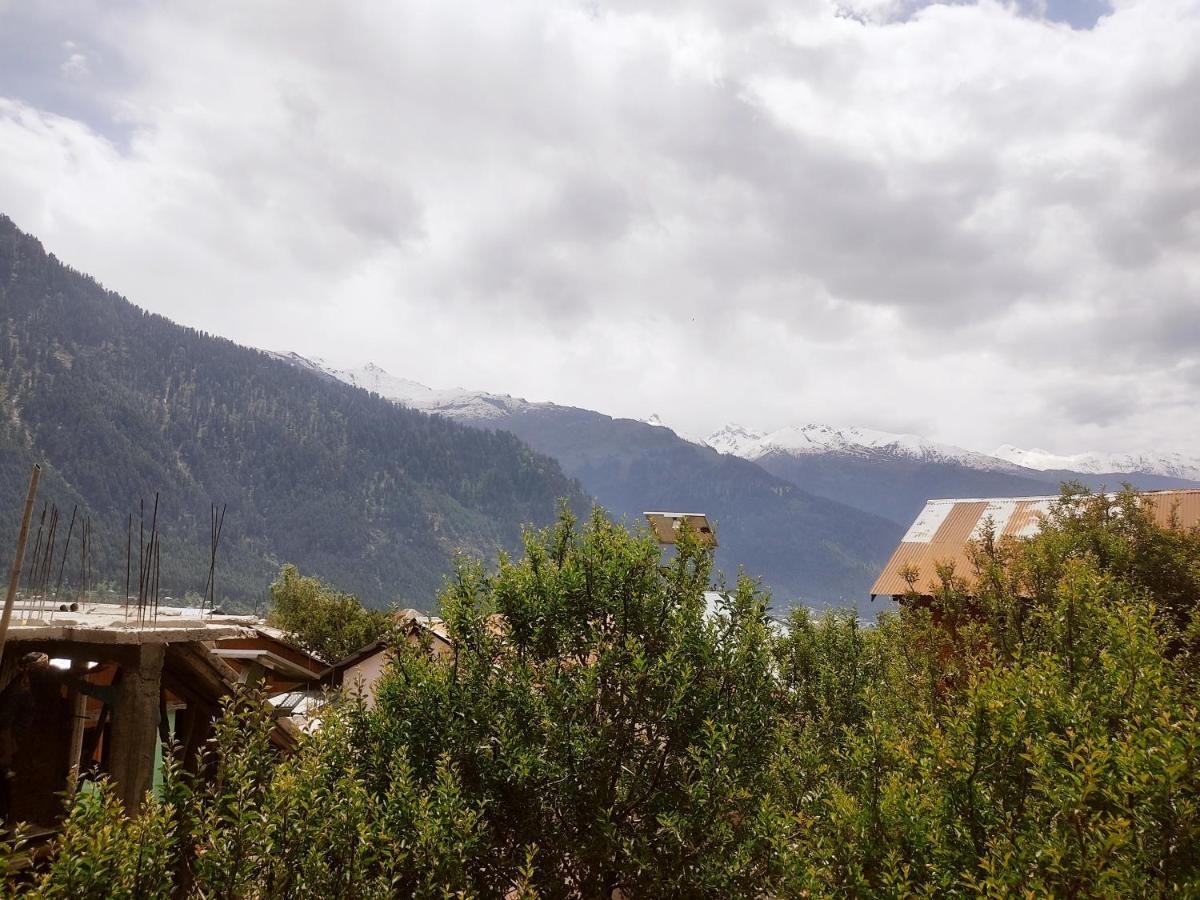 Woods Inn Mountain View Manali 外观 照片